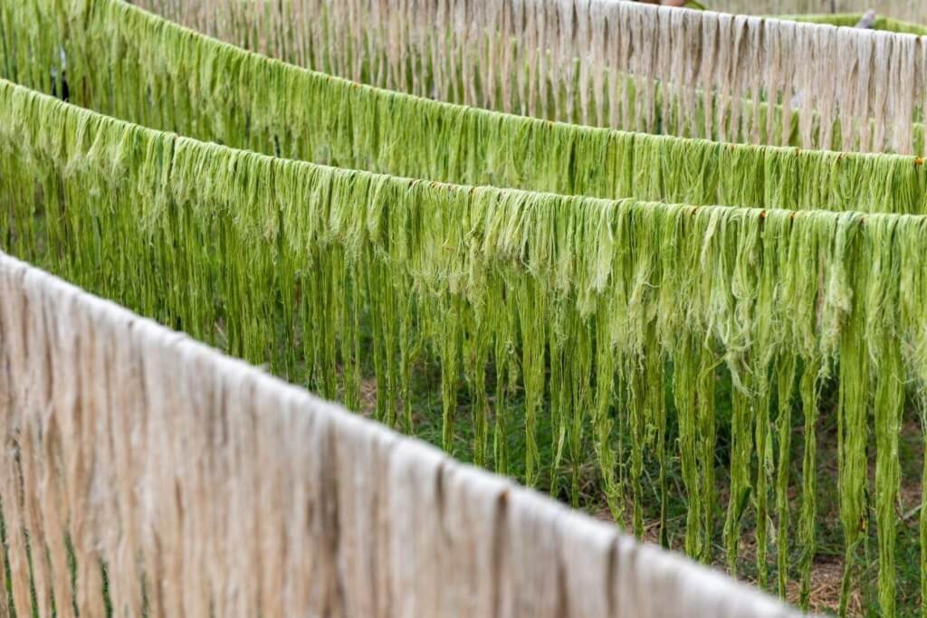 Piñatex (fibra de piña)