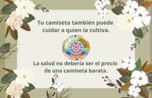 algodón orgánico y su impacto en la salud de quienes lo cultivan