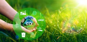 proveedores sostenibles