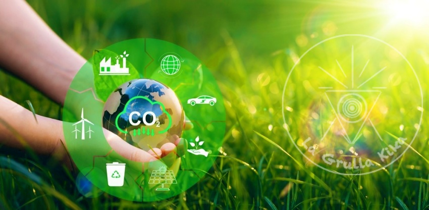 proveedores sostenibles